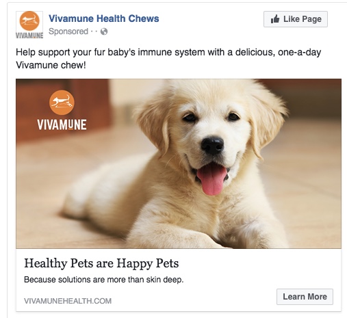 Facebook Ad