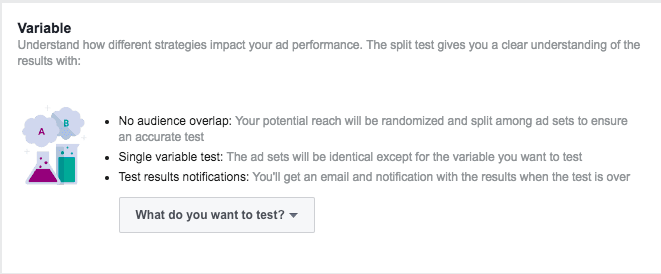 split test ad variables